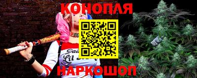стаф Кандалакша