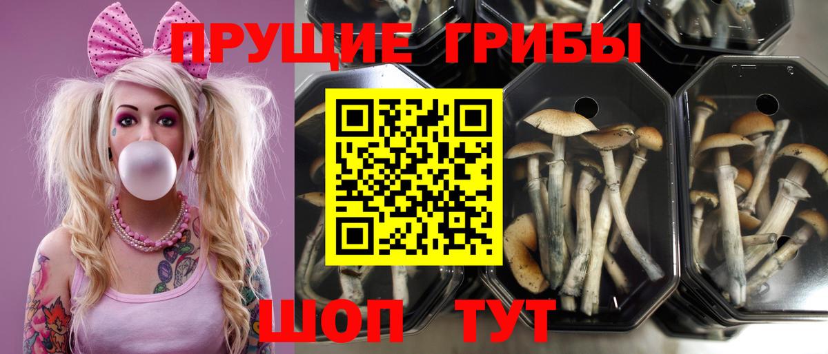 МЕФ   Гашиш  NBOMe  Вход с VPN  Канабис  Лабинск  Cocaine 